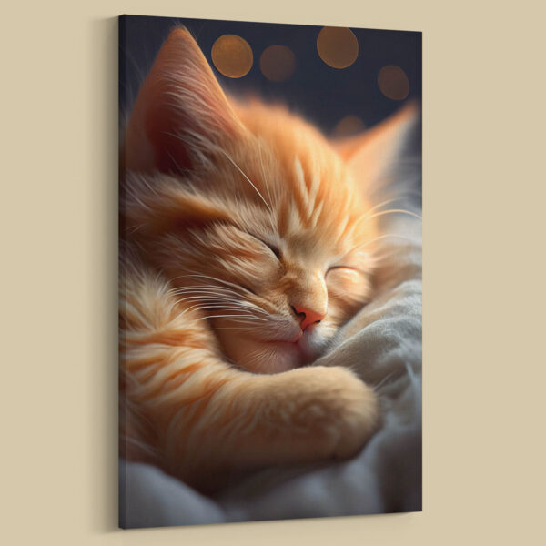 Kleine schlafende Katze ganz nah Leinwandbild oder Fotoposter